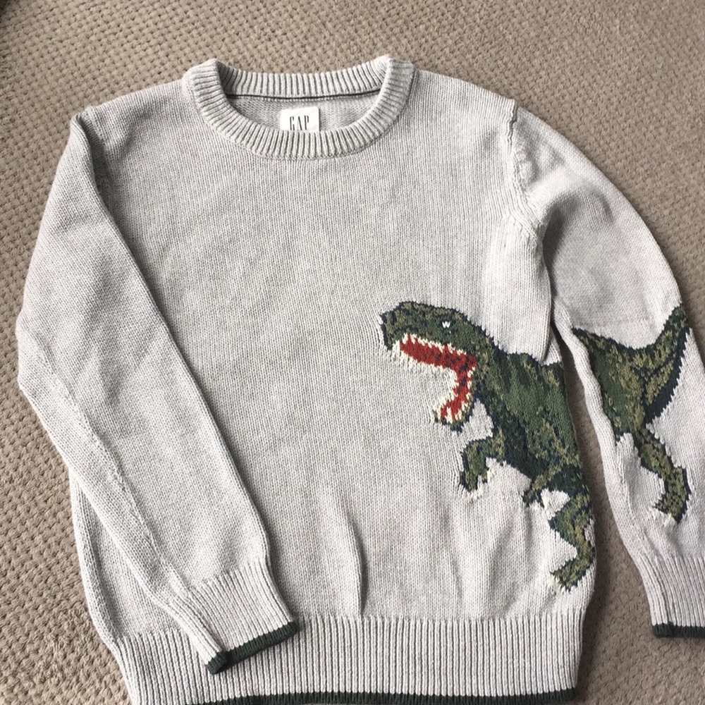Gap boys trex sweater
